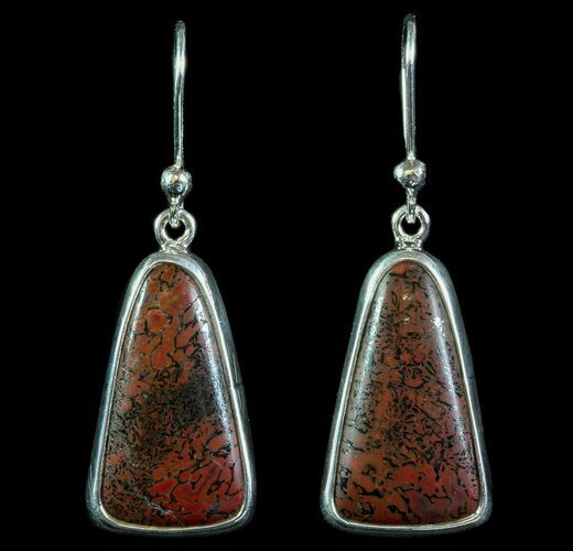 Agatized Dinosaur Bone (Gembone) Earrings - Sterling Silver #69963